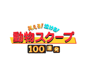 動物スクープ100連発の見逃し配信と動画無料視聴方法！