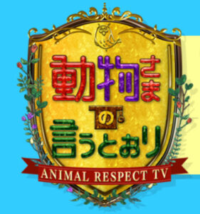 動物さまの言うとおりの見逃し配信と動画無料視聴方法！アニマルリスペクトTV