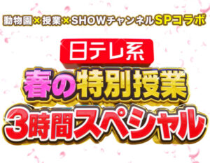 日テレ系春の特別授業の見逃し配信と動画無料視聴方法！永瀬廉、平野紫耀、道枝駿佑出演！