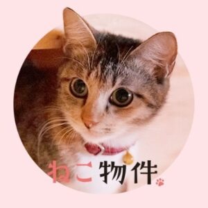 ねこ物件の見逃し配信と動画無料視聴方法！